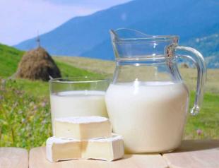 Молочная продуктивность и производство кобыльего молока башкирской лошади Парное кобылье молоко